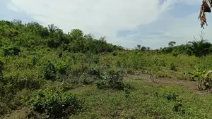 Central Region, Mankessim (Nkwanta) _ 49.69 Acres Mixed-Use Land