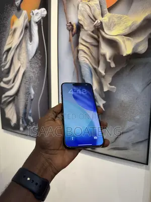 Apple iPhone 15 Pro Max 256 GB Black