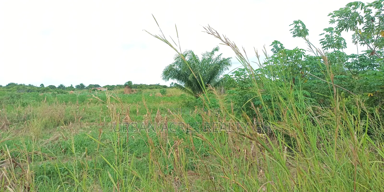 Volta Region, Hohoe (U.H.A.S Fodome) _ 10 Acres Building Land