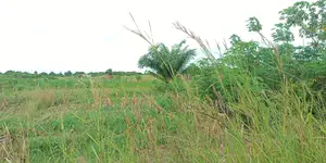 Volta Region, Hohoe (U.H.A.S Fodome) _ 10 Acres Building Land