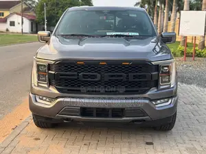 Ford F-150 2019 Gray