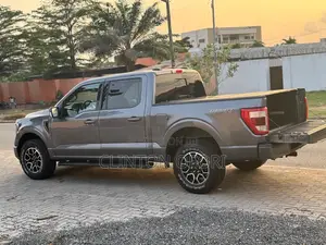 Ford F-150 2019 Gray