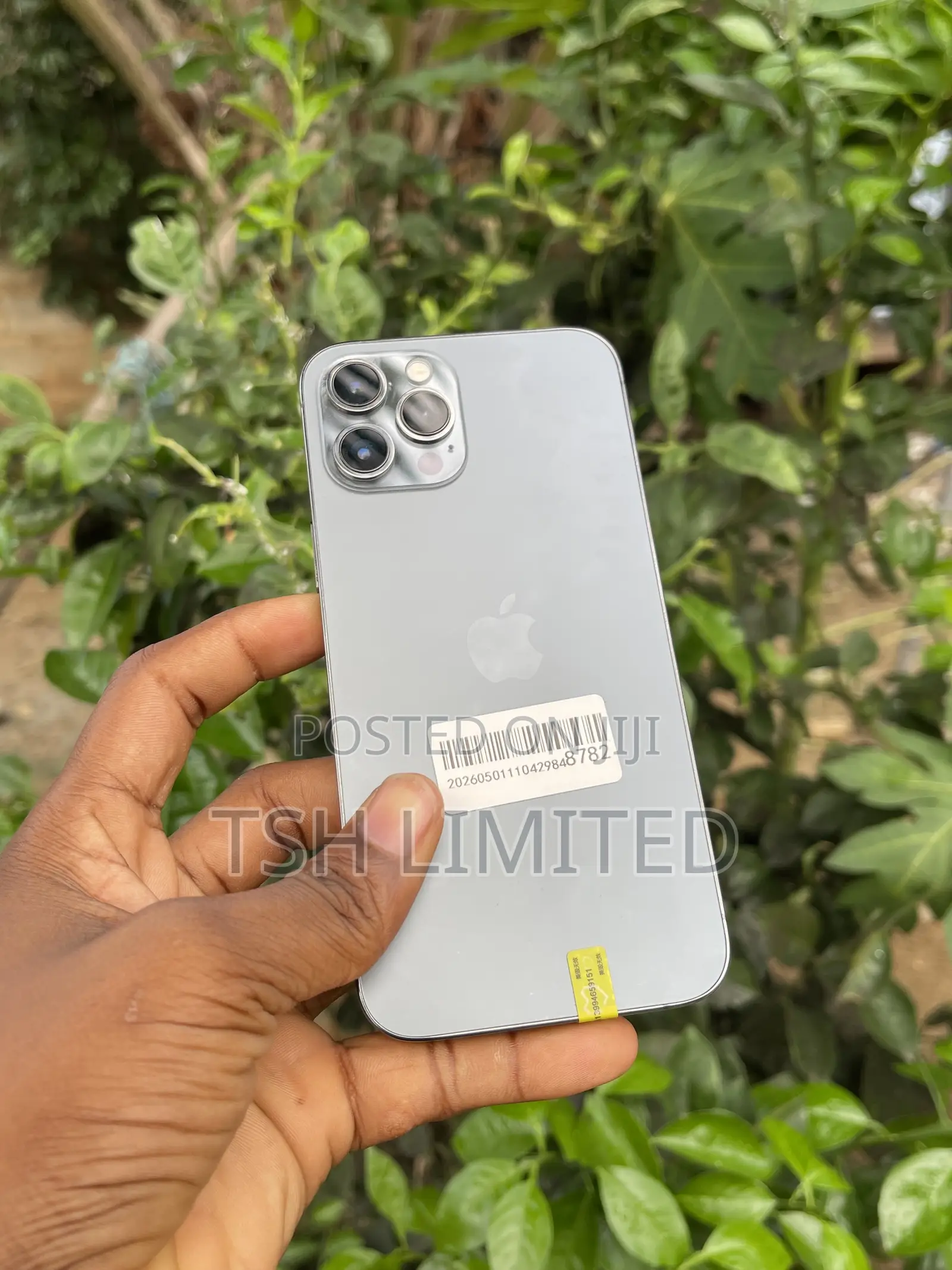 Apple iPhone 12 Pro Max 256 GB Gray