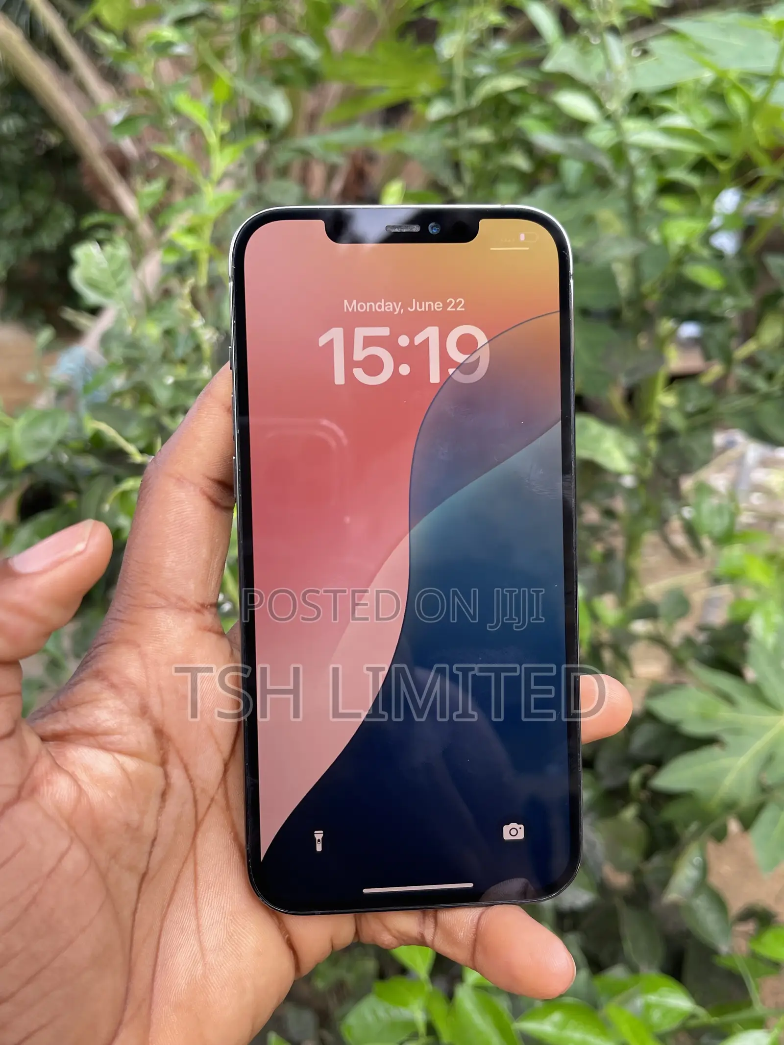 Apple iPhone 12 Pro Max 256 GB Gray