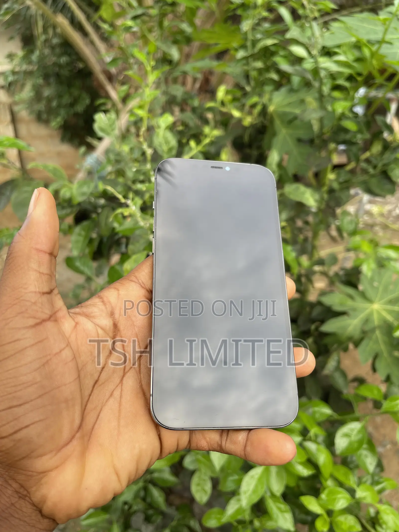 Apple iPhone 12 Pro Max 256 GB Gray