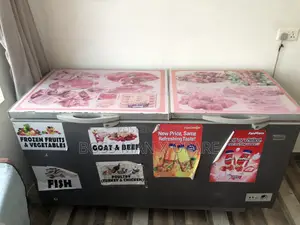 Double Freezer