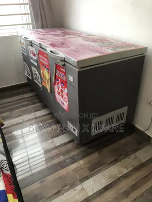 Double Freezer