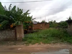 Half Plot Of Land With Structure