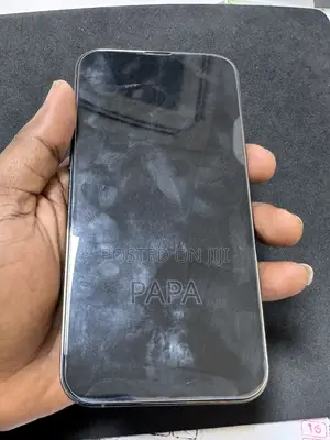 Apple iPhone 13 Pro Max 128 GB Green