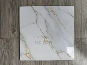 40x40 Polsihed Floor Tiles