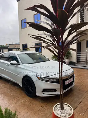 Honda Accord Touring 2.0T 2018 White
