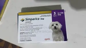 3-6 months Male Purebred Dog