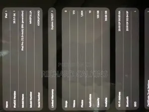 New Apple iPad Pro 12.9 (2022) 128 GB Silver