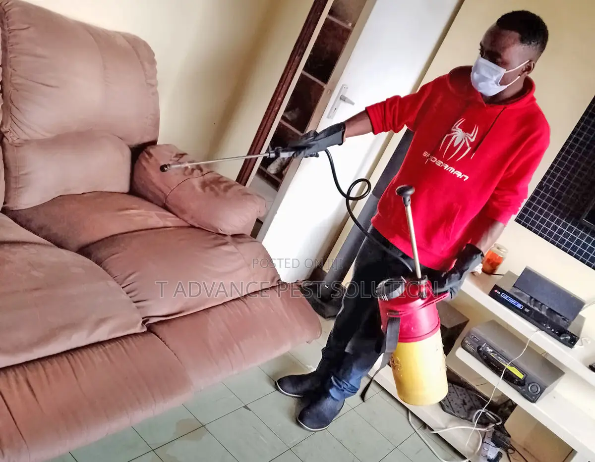 Fumigation Service