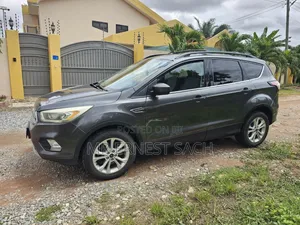 Ford Escape SE 4x4 2017 Gray