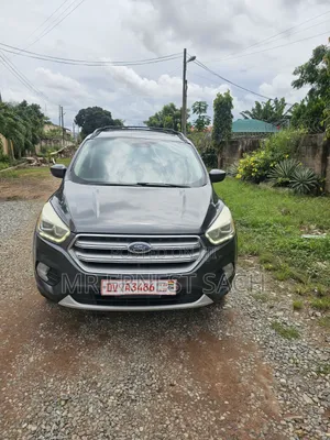 Ford Escape SE 4x4 2017 Gray