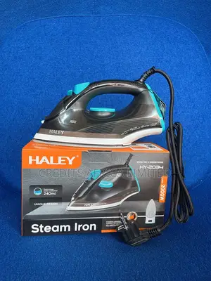 Steam Iron