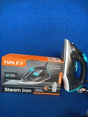 Steam Iron