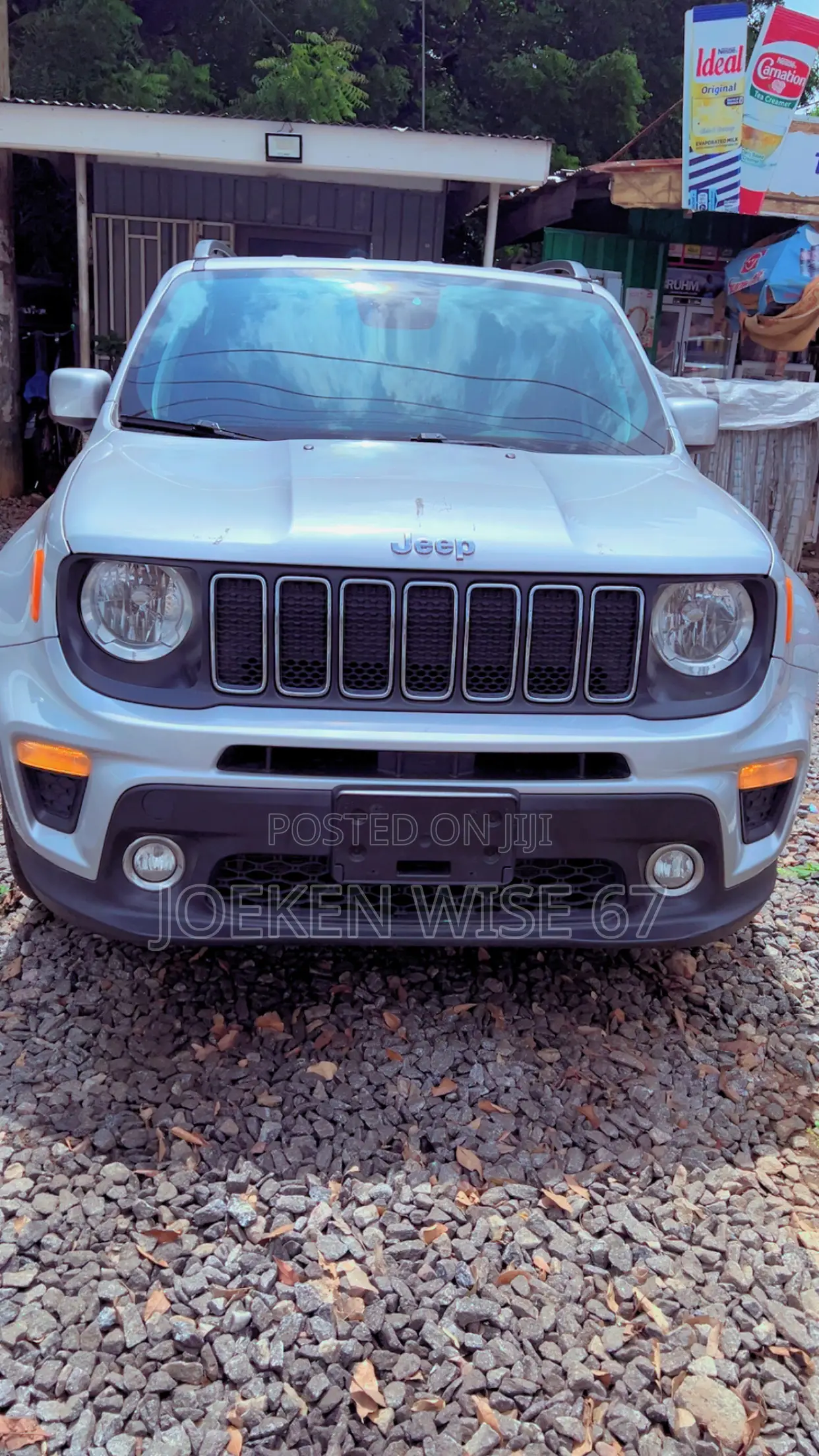 Jeep Renegade 2019 Gray