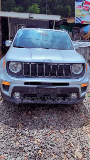 Jeep Renegade 2019 Gray