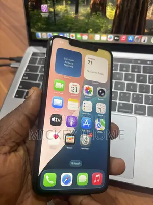 Apple iPhone 11 Pro Max 256 GB Gray