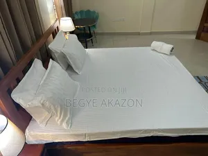 Furnished 8bdrm House in Begye, Tseaddo for rent