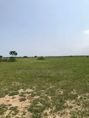 Estate Lands= Prampram Airport City Lands for Sale (Litigation Free)