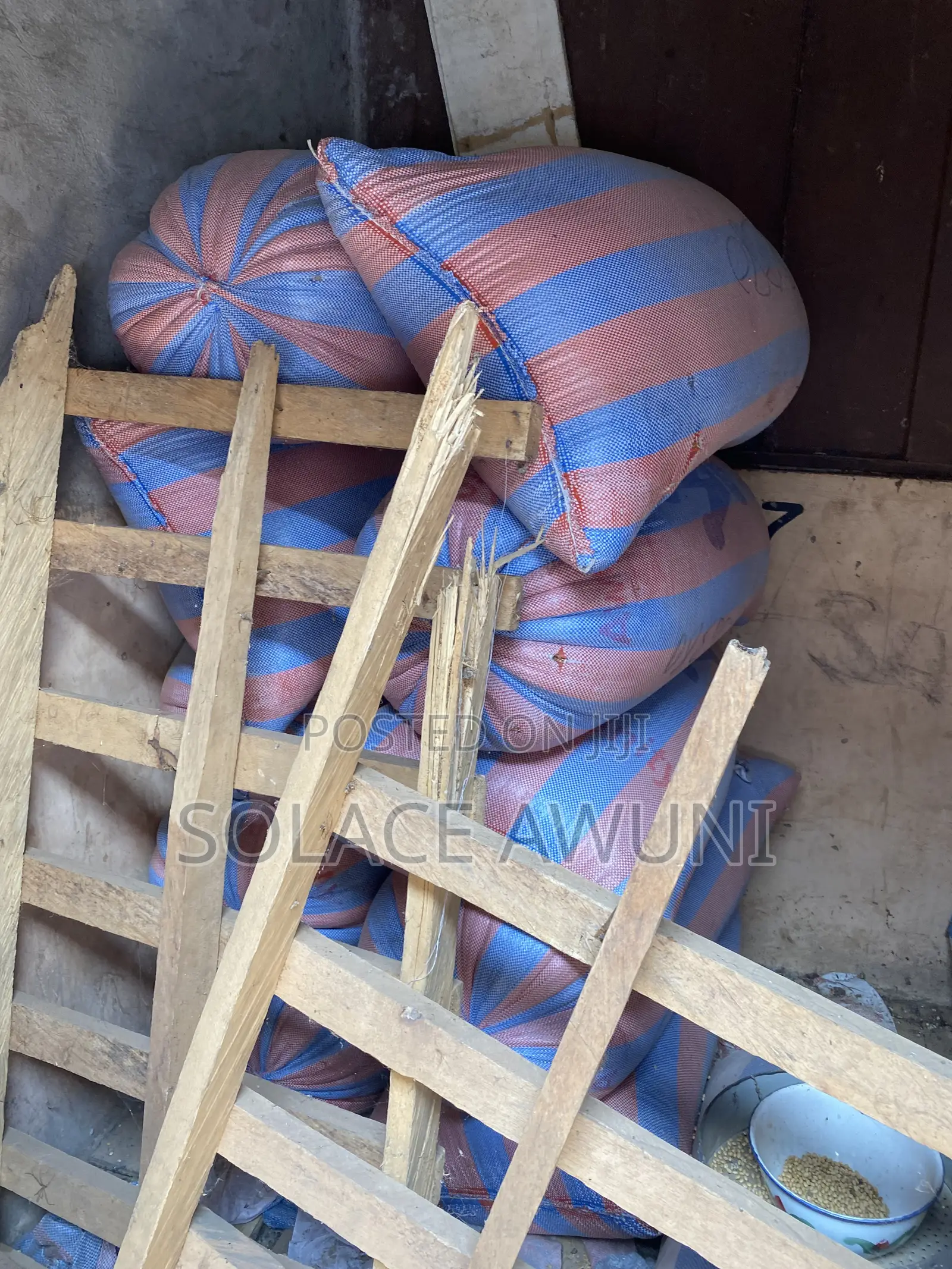 Very Neat Soya Beans for Sale