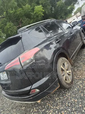 Toyota RAV4 XLE 4dr SUV (2.5L 4cyl 6A) 2018 Black