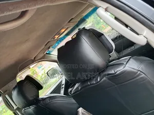 Proton 300 2010 Gray