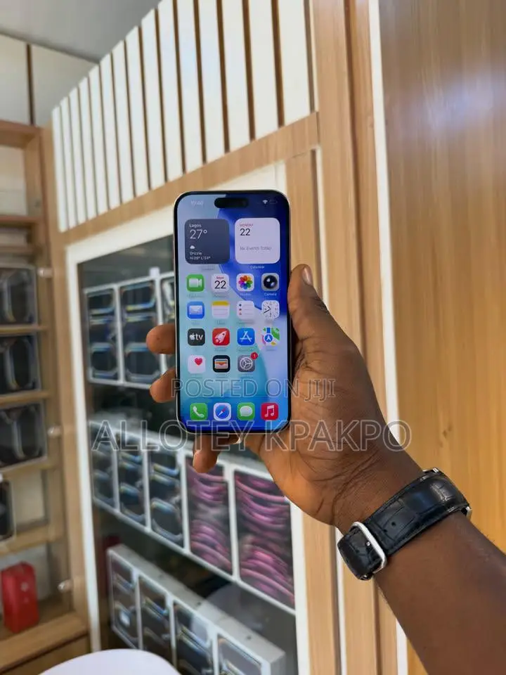 Apple iPhone 15 Pro Max 256 GB Silver