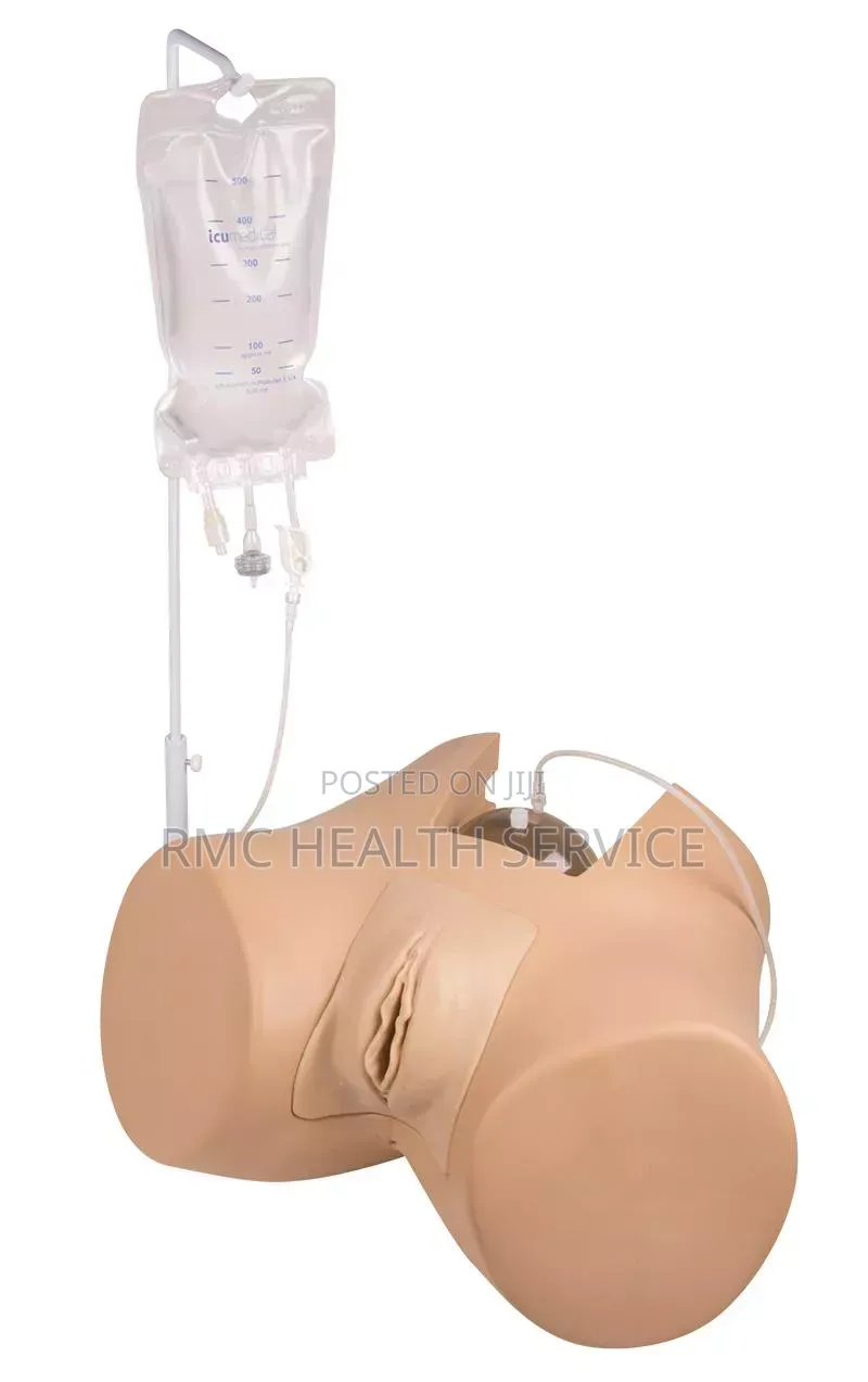 Medical Catheterization Manikin (Female)