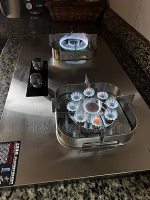 Smart Gas Stove