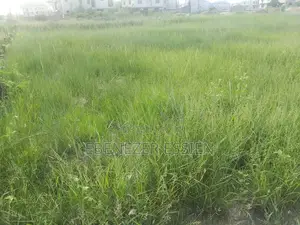One Plot of Land for Sale at Tema Community 25