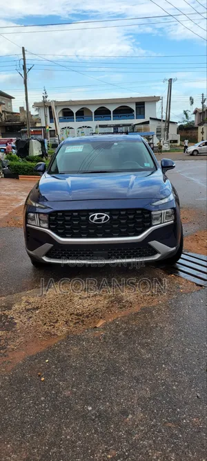 Hyundai Santa Fe 2021 Blue