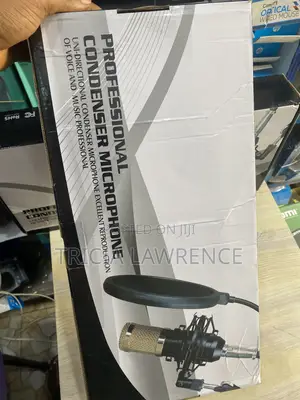 Condenser Microphone