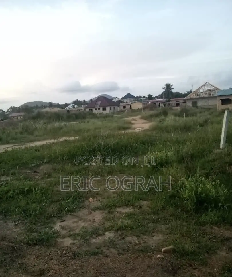 Serviced 100x100 Plot of Land for Sale at Adjen Kotoku