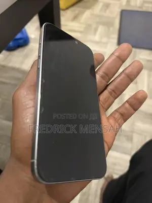 Apple iPhone 15 Pro Max 256 GB Gray