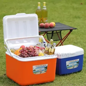 Ice Chest / Food Warmers