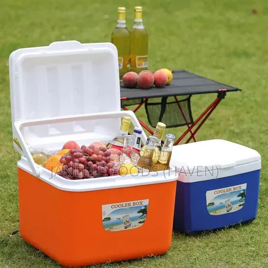 Ice Chest / Food Warmers