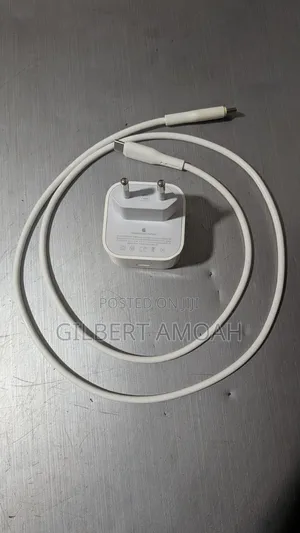 Apple Original Charger Type-C