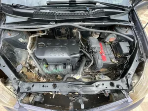 Toyota Echo Sedan 2005 Gray