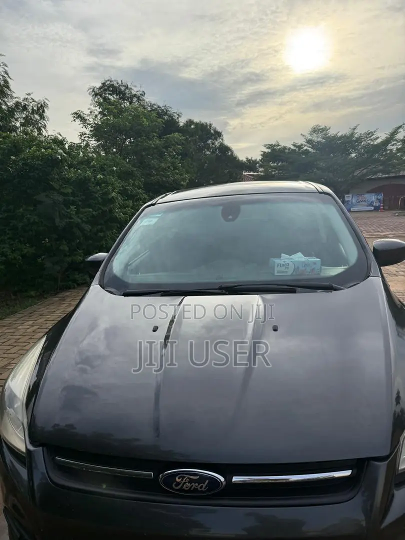 Ford Escape 2016 Gray