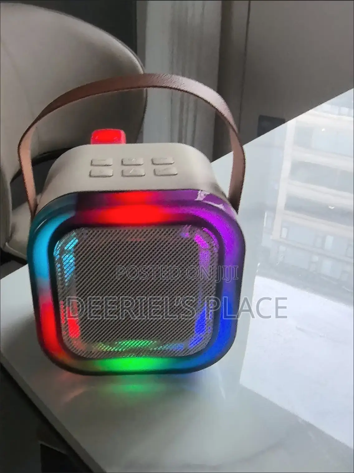 2 Microphones Karaoke Speaker