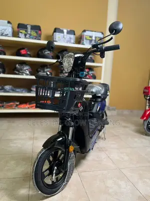 Evestar Electric Scooter E-Bike | Dual Seat With Storage Basket