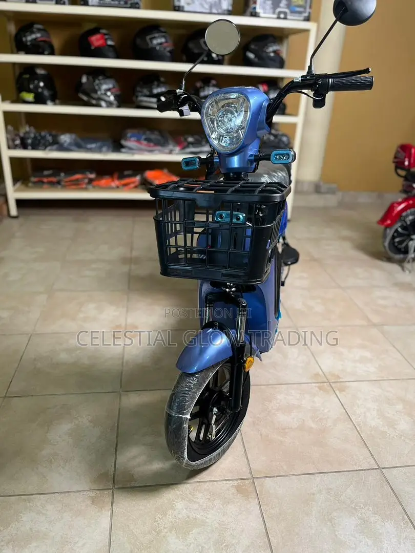Evestar Electric Scooter E-Bike | Dual Seat With Storage Basket