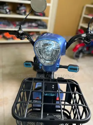 Evestar Electric Scooter E-Bike | Dual Seat With Storage Basket