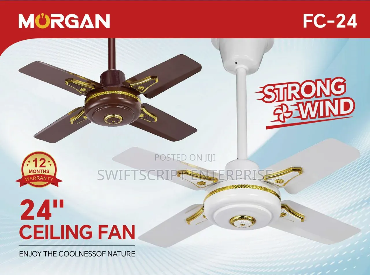24 Inch Ceiling Fan