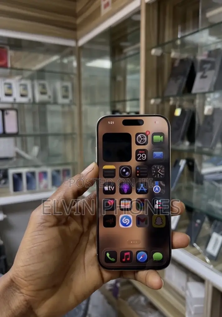 Apple iPhone 16 Pro 256 GB Gray