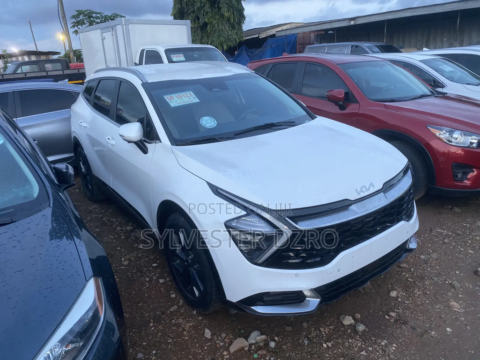 Kia Sportage 2024 White